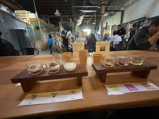 Sequoia Sake by null