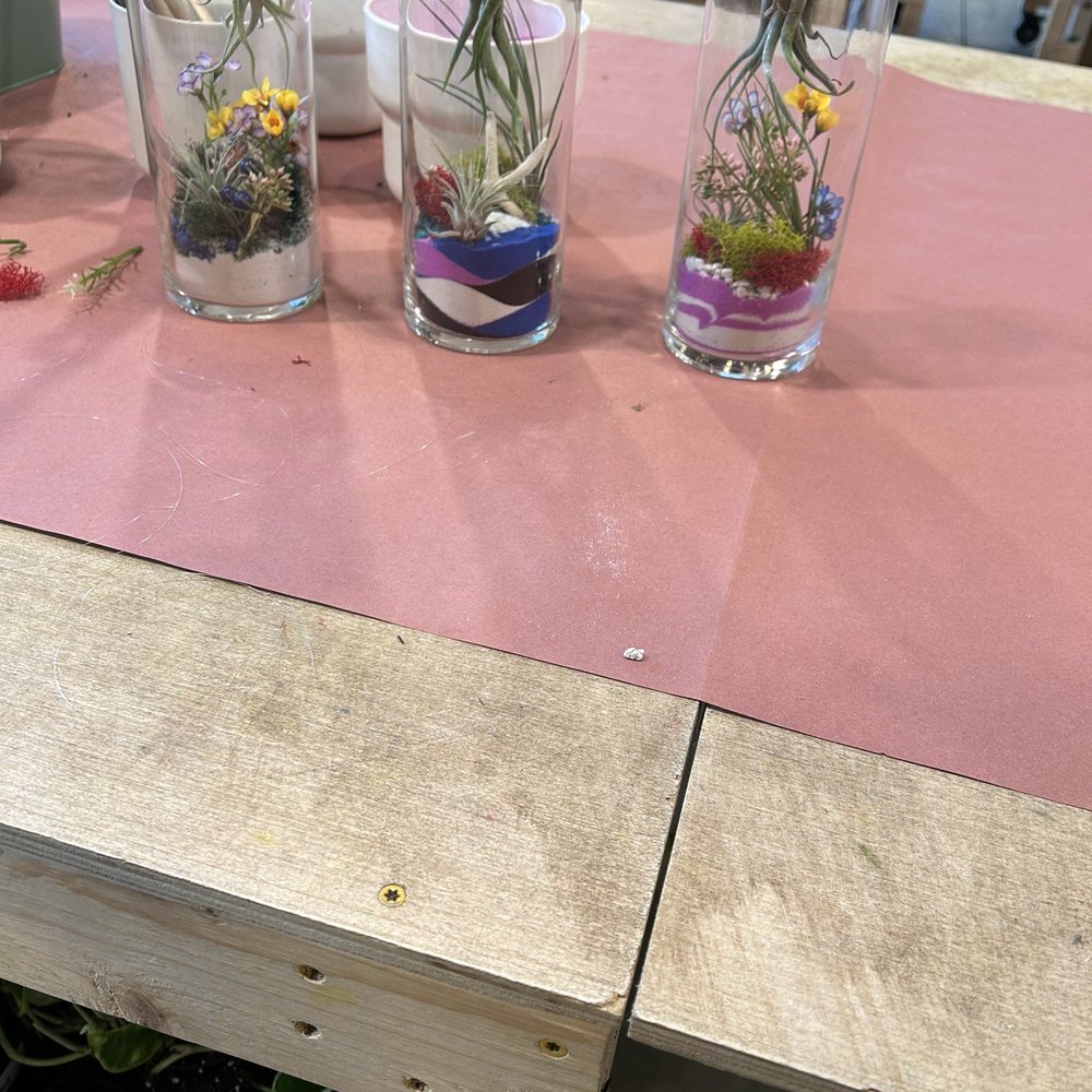 PlantHouse - Nurseries & Gardening Near Me - Charlotte, North Carolina