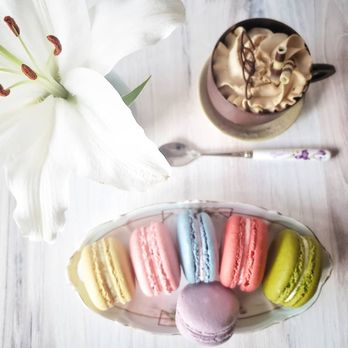 Katya's Bakery - Maccarons and tiramisu chocolate cup - Coffee & Tea Near Me - Everett, Washington Katya's Bakery - Maccarons and tiramisu chocolate cup - Coffee & Tea Near Me - Everett, Washington