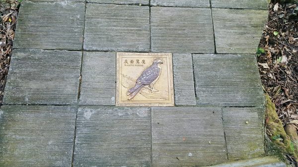 Kenting National Forest Recreation Area by null