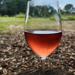 Cloudland Vineyards and Winery