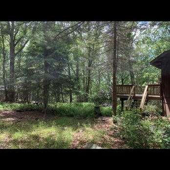 Blue Ridge Tree Services - Tree Services Near Me - Dingmans Ferry, Pennsylvania Blue Ridge Tree Services - Tree Services Near Me - Dingmans Ferry, Pennsylvania