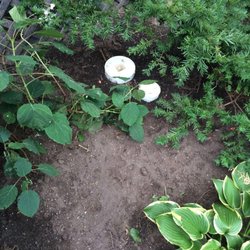 Essential Home Maintenance Checklist: Keep Your Home in Top Condition