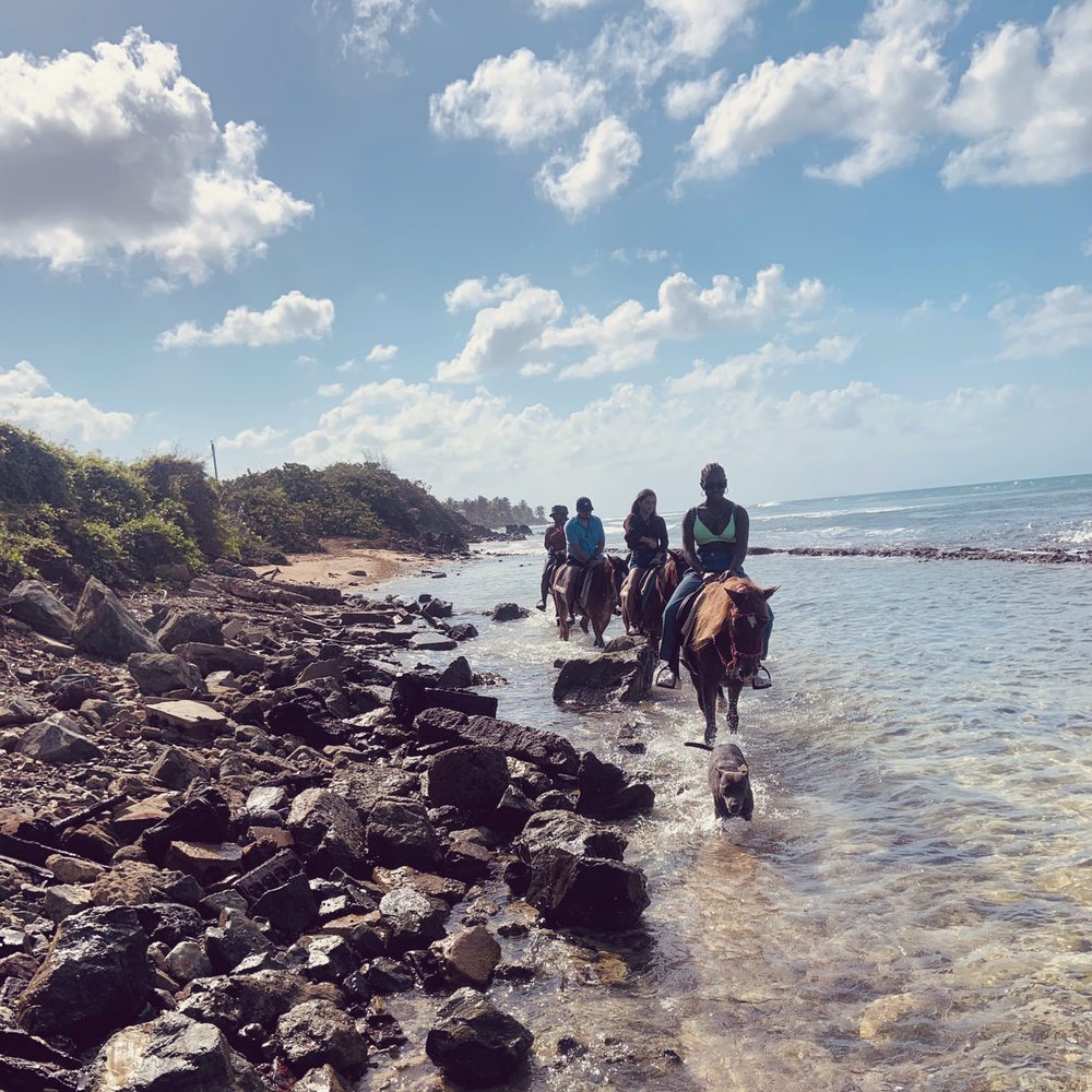 COLON HORSEBACK RIDING - Updated December 2025 - 55 Photos & 19 Reviews ...
