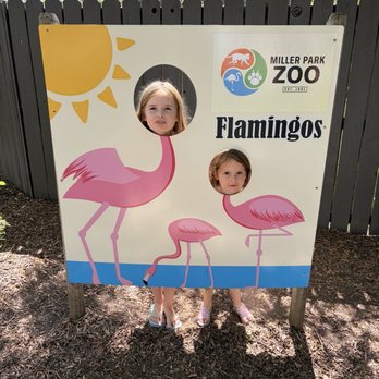 Miller Park Zoo - Zoos Near Me - Bloomington, Illinois Miller Park Zoo - Zoos Near Me - Bloomington, Illinois