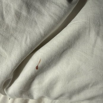 Oceanpoint Ranch - Blood on pillow in bedroom - Hotels Near Me - Cambria, California Oceanpoint Ranch - Blood on pillow in bedroom - Hotels Near Me - Cambria, California