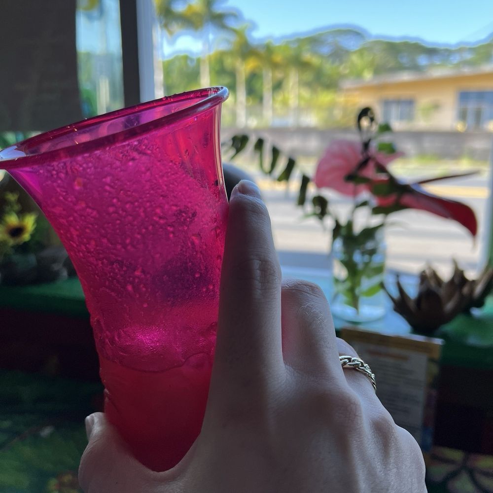 Pele's Kitchen - Guava Juice & the view! - Breakfast & Brunch Near Me - Pahoa, Hawaii Pele's Kitchen - Guava Juice & the view! - Breakfast & Brunch Near Me - Pahoa, Hawaii