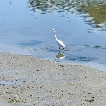Bair Island - Parks Near Me - Redwood City, California