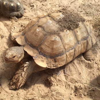 Quogue Wildlife Refuge - The turtles - Parks Near Me - Quogue, New York Quogue Wildlife Refuge - The turtles - Parks Near Me - Quogue, New York