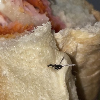 Subway - Fiber material in bread - Sandwiches Near Me - Sanford, North Carolina Subway - Fiber material in bread - Sandwiches Near Me - Sanford, North Carolina