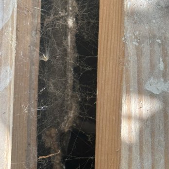 Greenline Pest Solutions - This is what it looks like when you hire greenline! - Pest Control Near Me - Riverdale, Utah Greenline Pest Solutions - This is what it looks like when you hire greenline! - Pest Control Near Me - Riverdale, Utah