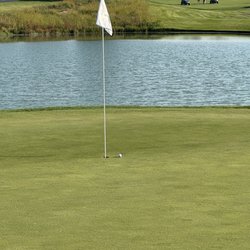 Madhu S R Gorla, MD - My third shot on the long par five 18th at The Glen Club
