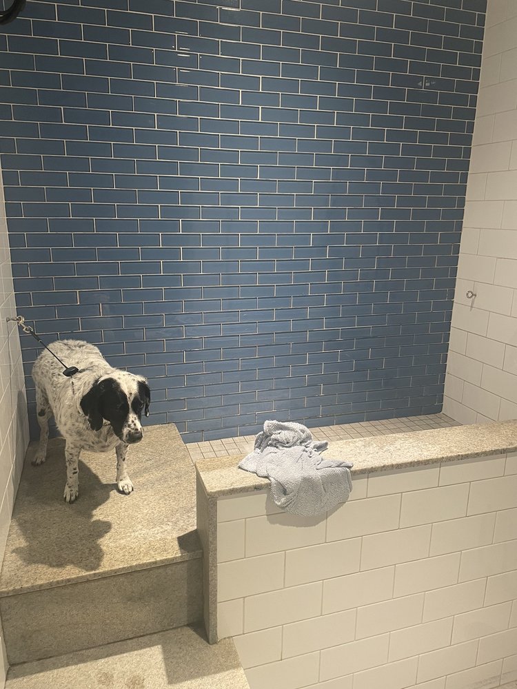 PET PANTRY WAREHOUSE Updated October 2024 737 White Plains Rd