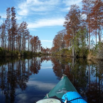 Okefenokee Adventures - Boating Near Me - Folkston, Georgia Okefenokee Adventures - Boating Near Me - Folkston, Georgia