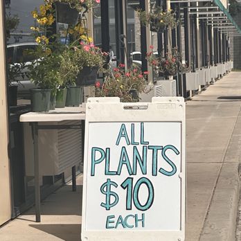 Paul Plants - $10? Yes, please! - Nurseries & Gardening Near Me - San Antonio, Texas Paul Plants - $10? Yes, please! - Nurseries & Gardening Near Me - San Antonio, Texas