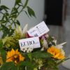 EURO Nails gift card