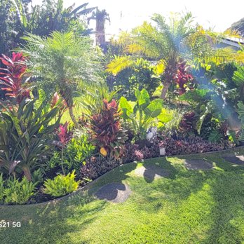 Immaculate Landscaping - Landscaping Near Me