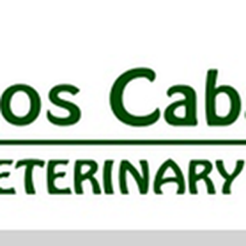 Los Caballos - untitled - Veterinarians Near Me - Chino Valley, Arizona Los Caballos - untitled - Veterinarians Near Me - Chino Valley, Arizona