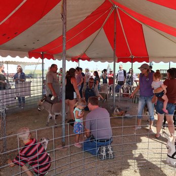Mountain View Tent - Party & Event Planning Near Me Mountain View Tent - Party & Event Planning Near Me