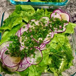 Just a Bite Maui - Kula Greens, House Vinaigrette and Garden Herbs