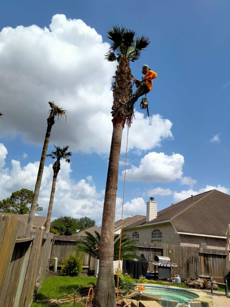 Slide of Green Shield and The Sword