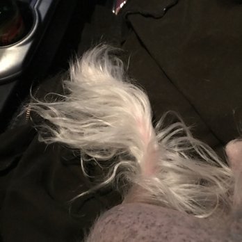 PetSmart Grooming - Tail hairs not brushed - Pet Training Near Me - Pooler, Georgia PetSmart Grooming - Tail hairs not brushed - Pet Training Near Me - Pooler, Georgia