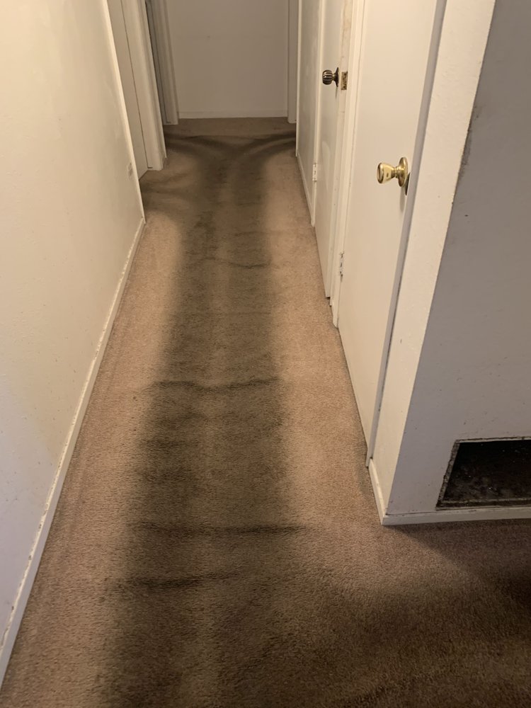 AFFORDABLE STEAM CLEANING Updated July 2024 13 Photos Oakdale