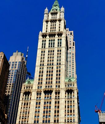 The Woolworth Building by null