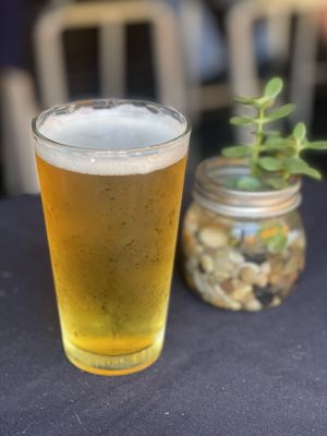 MoJo's Local Tap & Kitchen by null