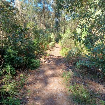 Thornby Park - Parks Near Me - Deltona, Florida Thornby Park - Parks Near Me - Deltona, Florida