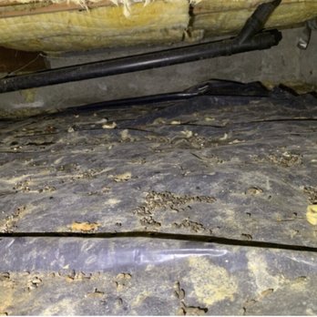 Norcal Rodent Proofing - Crawl space before cleaning and removing of old insulation - Pest Control Near Me - Lafayette , California