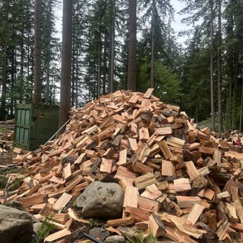 Modern Tree Solutions - Tree Services Near Me Modern Tree Solutions - Tree Services Near Me