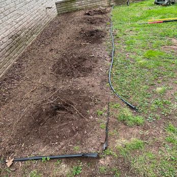 Terra Landscaping - Removal of dead bushes and stumps. - Landscaping Near Me Terra Landscaping - Removal of dead bushes and stumps. - Landscaping Near Me