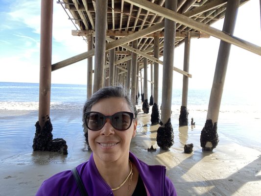 Malibu Pier by null