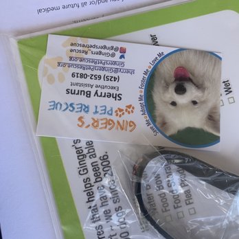 Ginger's Pet Rescue - Animal Shelters Near Me