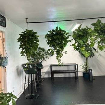 Plantology Café - Coffee & Tea Near Me - Oceanside, California
