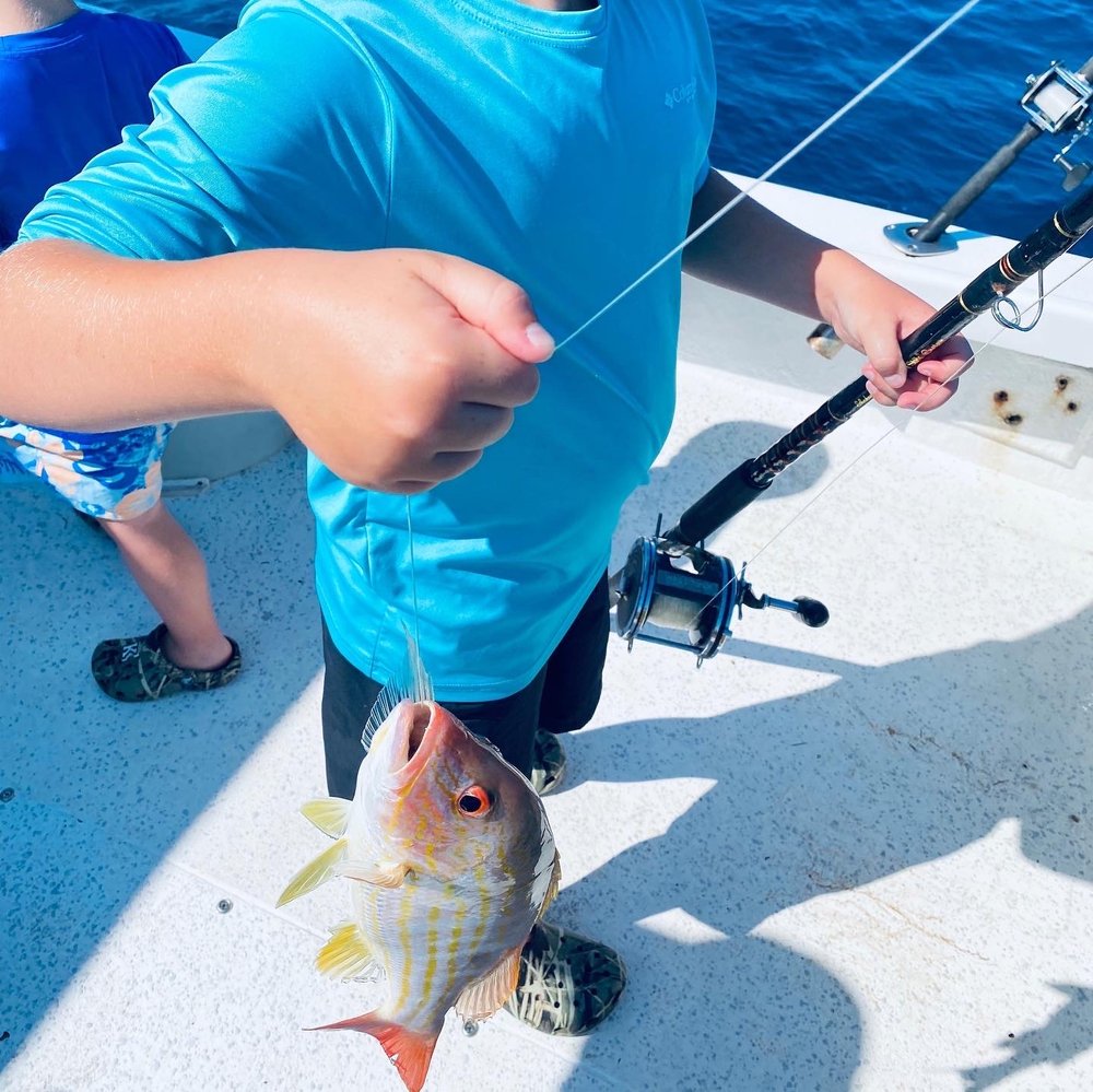 Fish Taxi Charter Logo