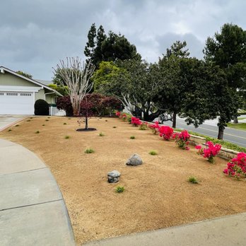 Parga Landscape & Trees - Landscaping Near Me Parga Landscape & Trees - Landscaping Near Me