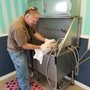 Photo of Bed And Biscuit Kennels