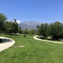 McCarthy Park
