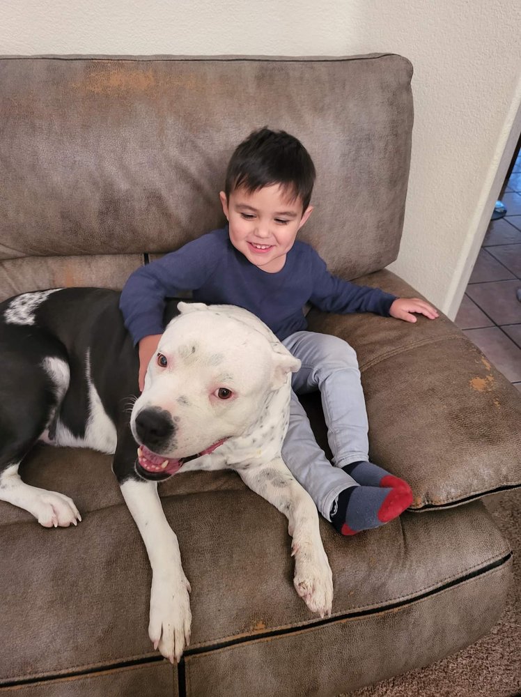 Henderson Childcare - childcare center in Henderson, NV