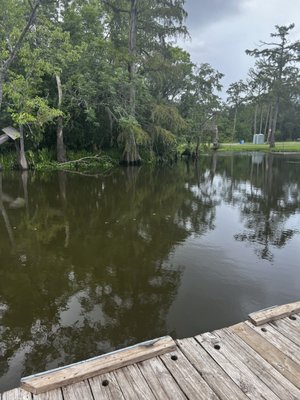 Bluebird Fish Camp by null