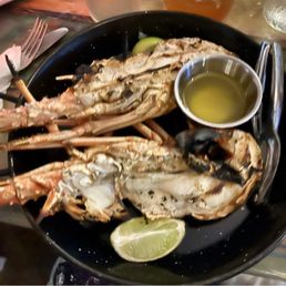 Lobster