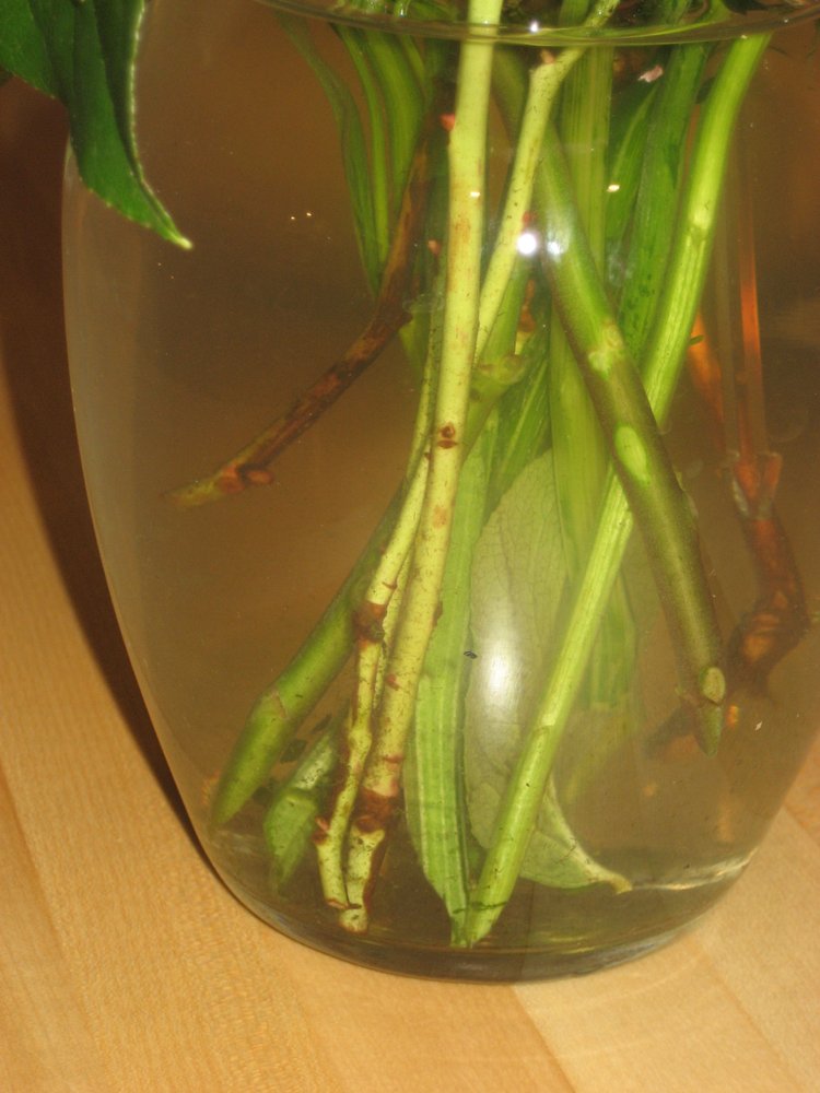 PERFECT EVENTS FLORAL Updated May 2024 30 Photos & 13 Reviews 180 Town Center Rd, King of