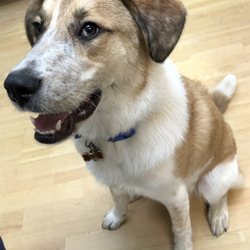Fuzzybuttz - Nothing but smiles for Fuzzybuttz!!