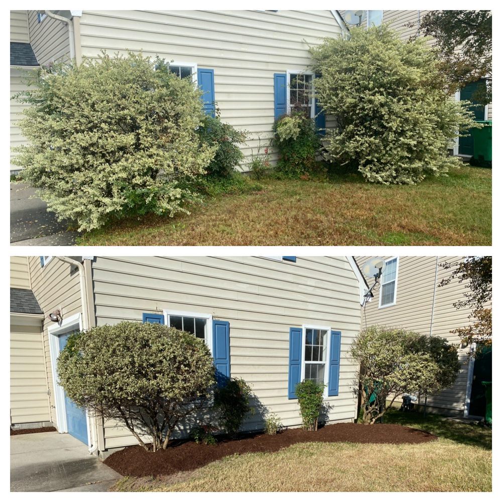 Lawn Enforcement Lawn Care - tree service in Virginia Beach, VA