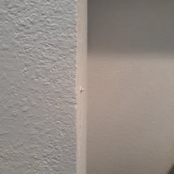 Standardized Improvement