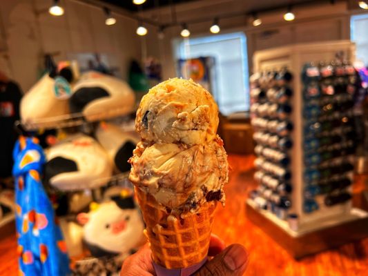 COWS Niagara-On-The-Lake by null