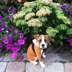 Tiogue Veterinary Clinic - Sammy gets the best care at this veterinary clinic! We wouldn't go anywhere else! Sherri;)