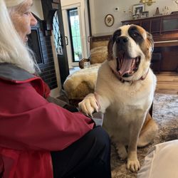 Highland Glen Lodge - Sheila and Bodie